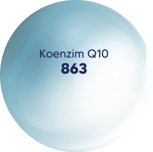 Koenzim