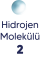 hidrojen